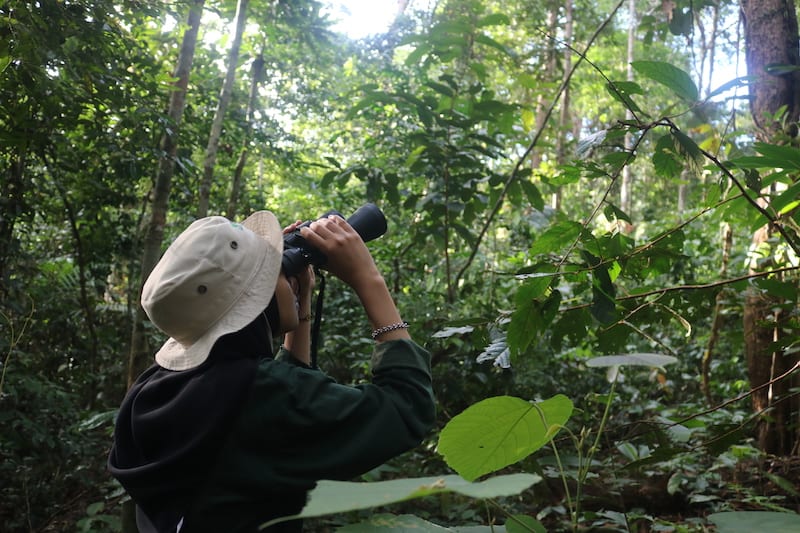Mengajarkan anak-anak tentang alam dengan Bird Watching